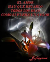 /album/fotogaleria/todos-los-dias-jpg/